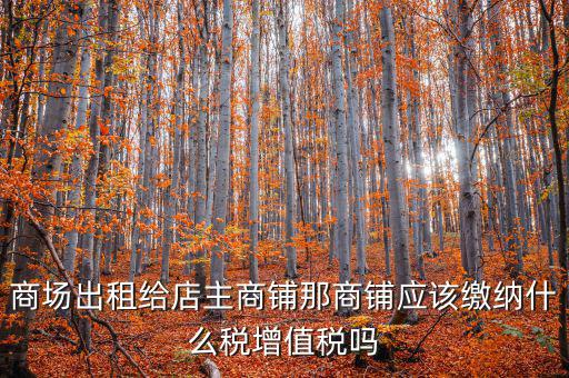 租用商鋪需要交什么稅，我租個(gè)門(mén)市都需交什么稅
