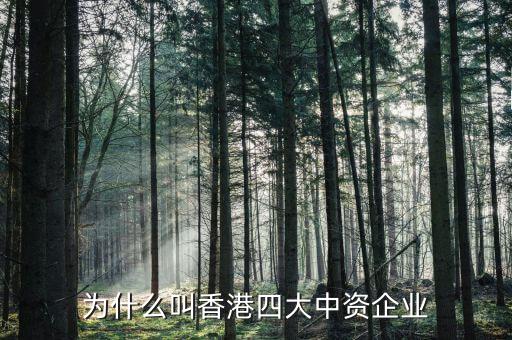 什么叫中資控股企業(yè)，為什么叫香港四大中資企業(yè)