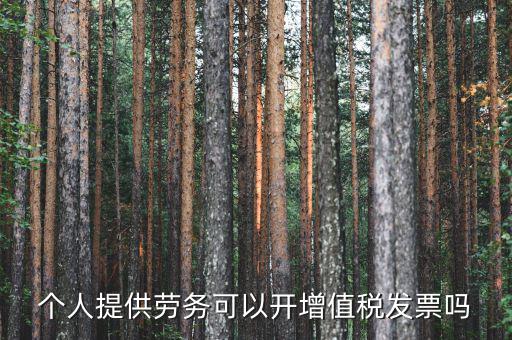 什么是個(gè)人勞務(wù)發(fā)票嗎，個(gè)人開(kāi)工程勞務(wù)費(fèi)發(fā)票是在工程所在地開(kāi)具嗎