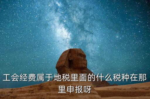 工會(huì)活動(dòng)費(fèi)中稅是什么，工會(huì)經(jīng)費(fèi)屬于地稅里面的什么稅種在那里申報(bào)呀