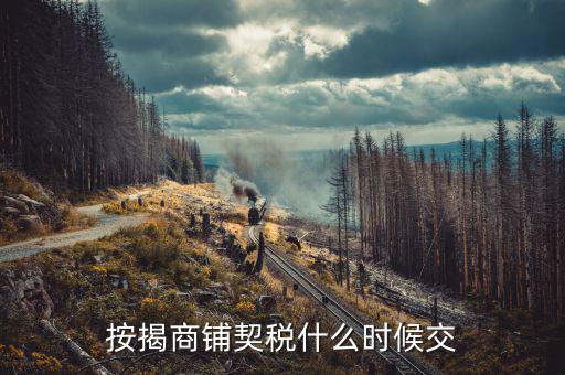 商鋪?zhàn)赓U稅什么時(shí)候交，租賃店鋪一般首次需要繳納幾個(gè)月的租金