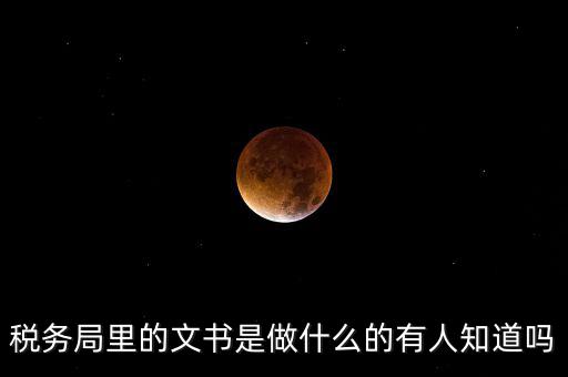 稅務(wù)文書是什么，急需稅務(wù)文書格式