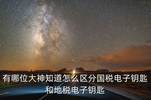 國(guó)稅電子鑰匙是什么，稅務(wù)密鑰是什么東西是數(shù)字證書(shū)嗎