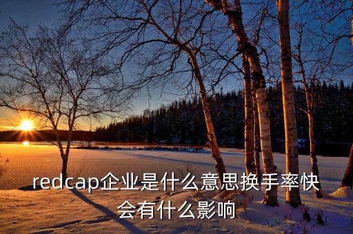 大企業(yè)局是什么意思，廣東省地稅網(wǎng)上的財務(wù)報表中的大企業(yè)局數(shù)據(jù)報送是指什么