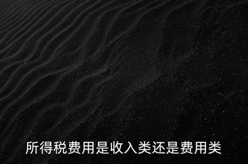 所得稅屬于什么費(fèi)用，所得稅費(fèi)用是收入類還是費(fèi)用類