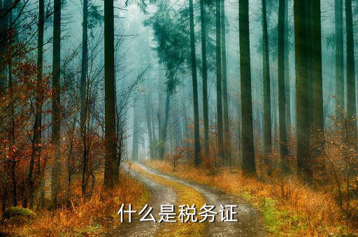 什么是稅務登記證，什么是稅務證