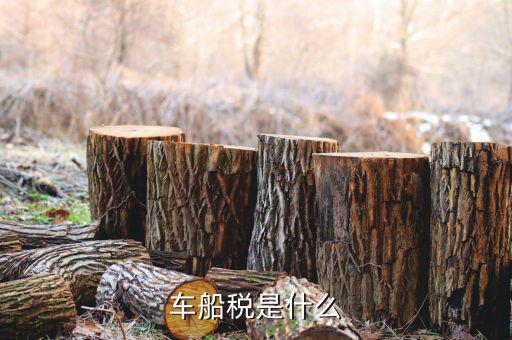 保險(xiǎn)的車船稅是什么意思，車船稅是什么