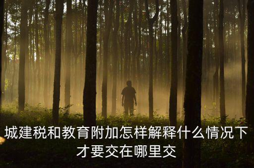 什么時(shí)候有教育費(fèi)附加，子女教育專項(xiàng)附加扣除的起始時(shí)間
