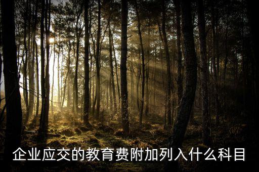 教育費(fèi)附加干什么，教育費(fèi)附加代表什么意思