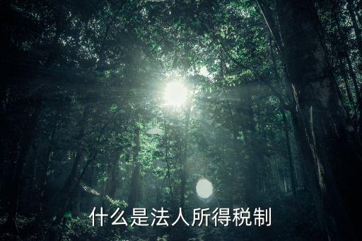 什么是法人企業(yè)所得稅，百度如何理解企業(yè)所得稅應(yīng)該稱之為法人所得稅