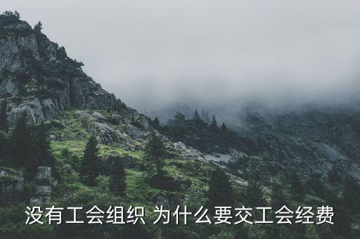 為什么要繳納工會經(jīng)費(fèi)，什么情況下公司要成立工會且要交工會經(jīng)費(fèi)