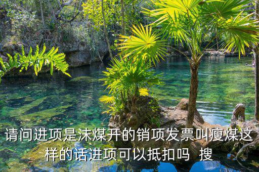 煤炭的進(jìn)項(xiàng)是什么，露天煤礦開采增值稅進(jìn)項(xiàng)有哪些