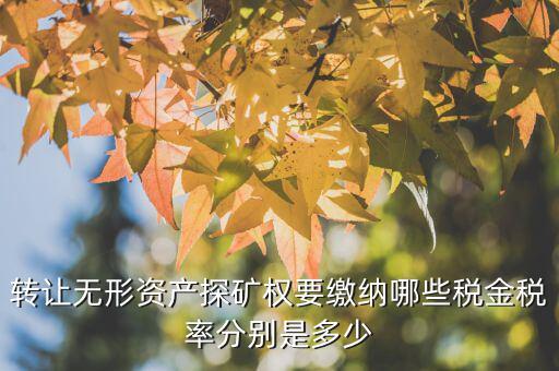 轉讓無形資產(chǎn)探礦權要繳納哪些稅金稅率分別是多少