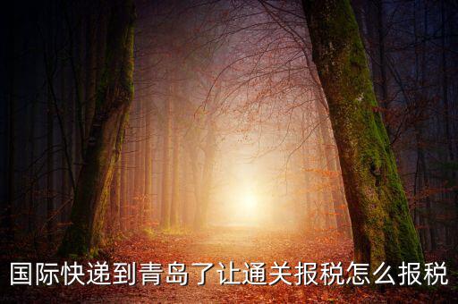 青島物流公司拿什么稅，國際快遞到青島了讓通關(guān)報稅怎么報稅