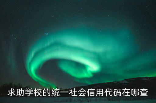 學(xué)校的社會信用代碼是什么東西，求助學(xué)校的統(tǒng)一社會信用代碼在哪查