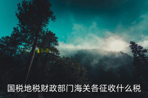 稅務機關收什么稅，國家稅務局系統(tǒng)主要負責征收什么稅種