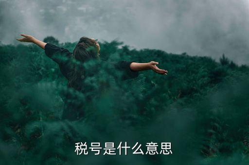 納稅號(hào)碼是什么意思，稅號(hào)是什么意思