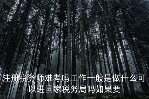 什么是稅務(wù)師，注冊(cè)稅務(wù)師能干什么待遇怎么樣