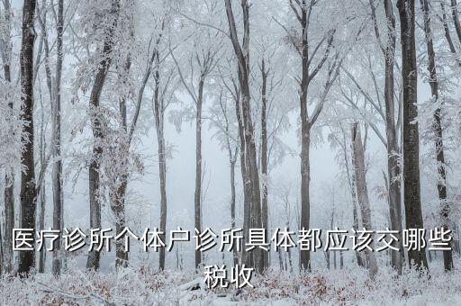 醫(yī)健護航都交什么稅，醫(yī)療診所個體戶診所具體都應該交哪些稅收
