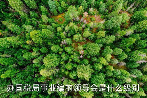 國稅局主任是什么職位，國稅局辦公室人員