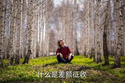 勞務費差額征稅是什么意思，差額稅是啥東西