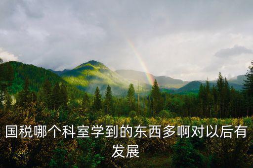 國稅有什么科室，國稅哪個科室學到的東西多啊對以后有發(fā)展