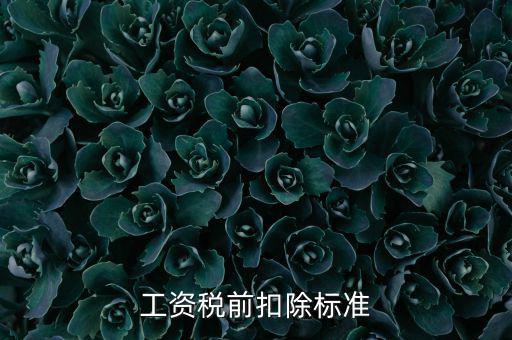 什么是稅前扣除標(biāo)準(zhǔn)，請問差旅費稅前扣除標(biāo)準(zhǔn)是什么