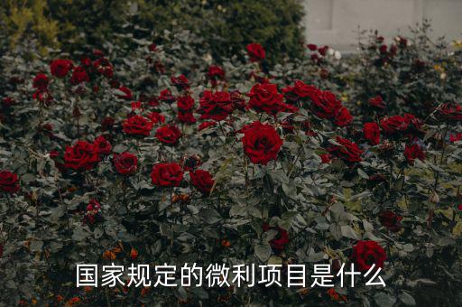國家規(guī)定的微利項(xiàng)目是什么