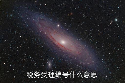 稅務(wù)受理編號什么意思