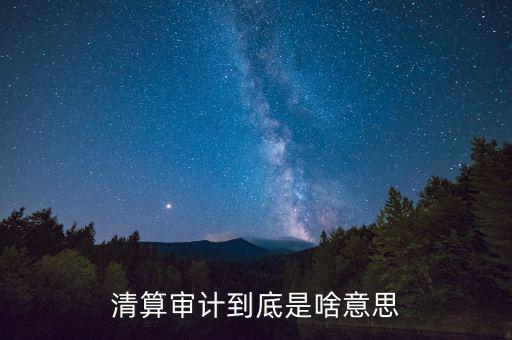 什么是申報清冊，電子稅務(wù)廳的重新獲取申報清冊是什么意思
