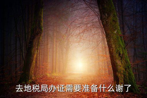 地稅局辦理什么，地稅局開(kāi)發(fā)票需要辦什么手續(xù)