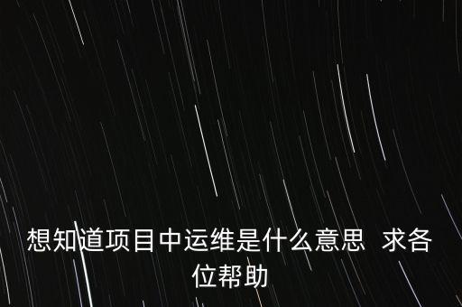 地稅提運(yùn)維是什么意思，想知道項(xiàng)目中運(yùn)維是什么意思  求各位幫助