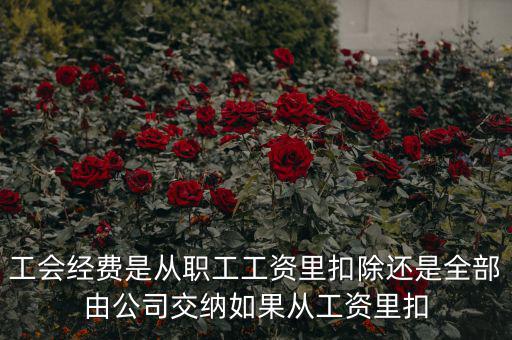 工會(huì)經(jīng)費(fèi)是從職工工資里扣除還是全部由公司交納如果從工資里扣