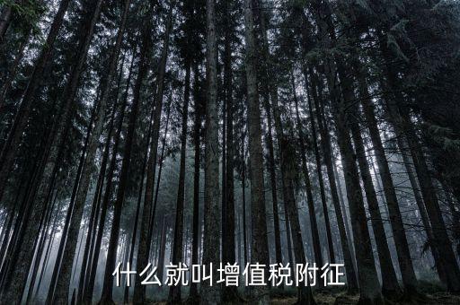 什么是增值稅及附加稅，什么就叫增值稅附征