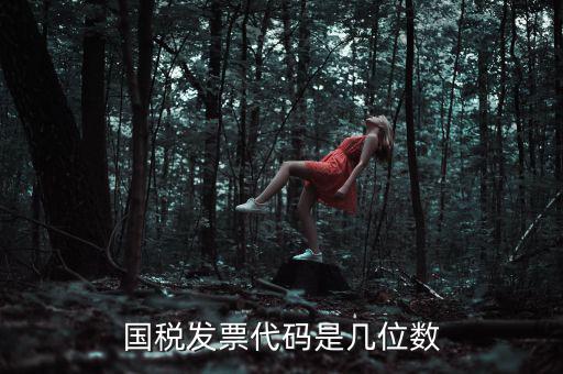 發(fā)票代碼是什么位置，國(guó)稅普票代碼是幾位數(shù)字在什么位置