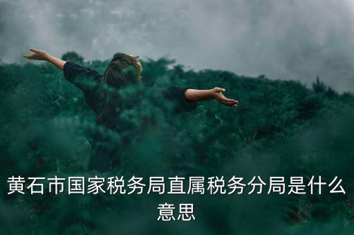 國(guó)稅直屬分局是什么局，國(guó)稅局是什么單位