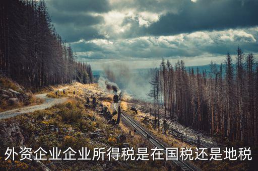 外資企業(yè)交什么稅，涉外企業(yè)應(yīng)繳些什么稅