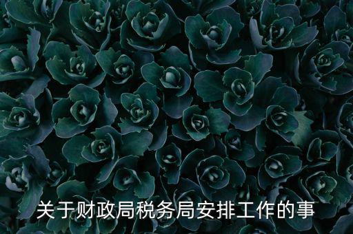 國稅局什么工作計劃，關(guān)于財政局稅務(wù)局安排工作的事