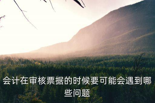 審核憑證會出什么問題，在審核憑證時出現(xiàn)這個問題是怎么回事