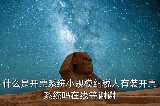 什么是開(kāi)票系統(tǒng)小規(guī)模納稅人有裝開(kāi)票系統(tǒng)嗎在線等謝謝