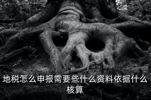 地稅根據(jù)什么申報，地稅怎么申報