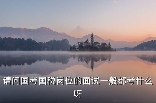 國稅標兵人才考什么，國稅通用能力測試考什么