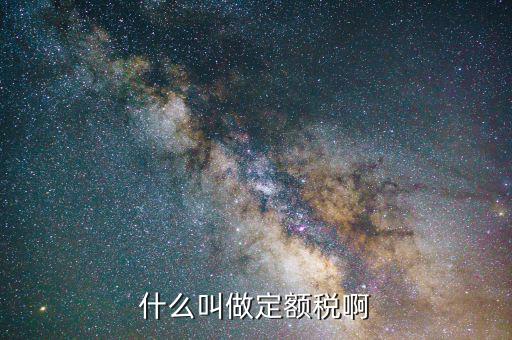 定額定稅是什么意思，什么叫做定額稅啊