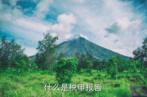 稅務(wù)國別報(bào)告是什么，什么是稅申報(bào)告