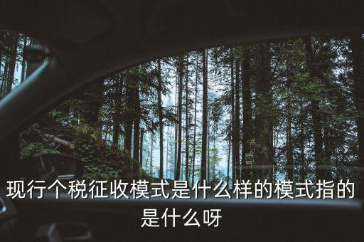 個(gè)人征稅系統(tǒng)是什么，你好補(bǔ)交個(gè)稅在稅局系統(tǒng)怎樣操作