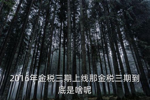 國稅金稅三期是什么意思，金稅三期是什么意思