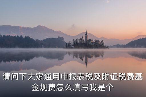 通用申報(bào)基金規(guī)費(fèi)包括什么，請(qǐng)問下大家通用申報(bào)表稅及附證稅費(fèi)基金規(guī)費(fèi)怎么填寫我是個(gè)