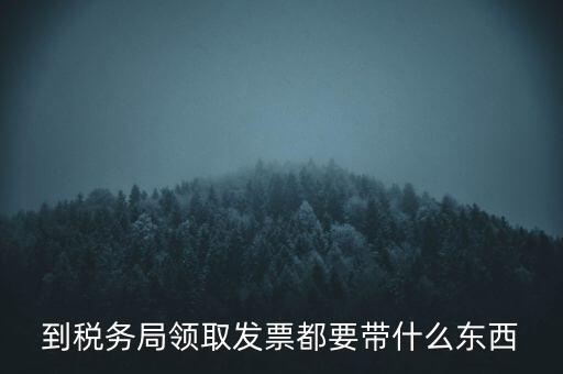 到稅務局領(lǐng)取發(fā)票都要帶什么東西