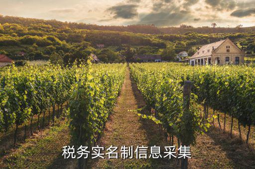 實(shí)名采集需要什么資料，實(shí)名制驗(yàn)證身份證信息采集有沒(méi)有這種身份證證件識(shí)別方式  搜