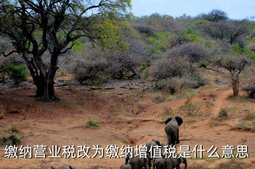 營業(yè)稅改為增值稅是什么意思，營業(yè)稅改增值稅指的是什么
